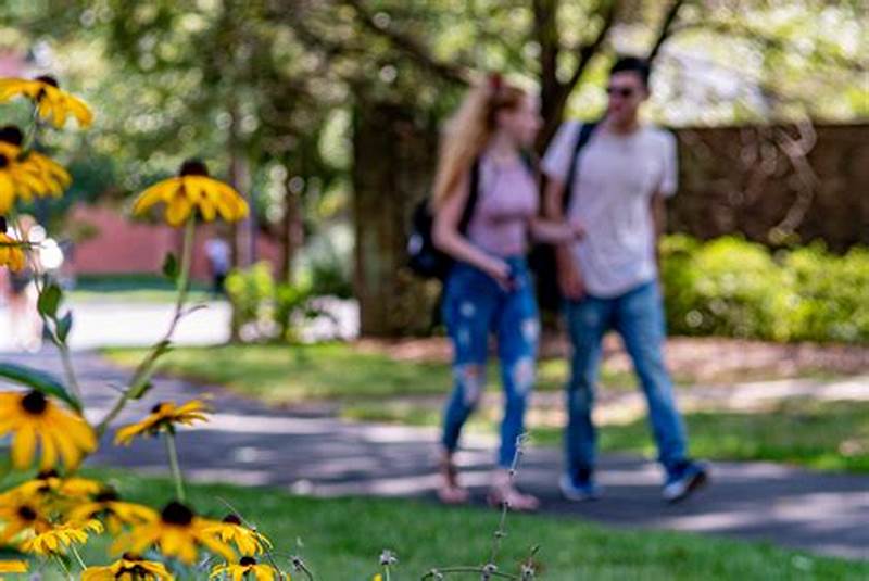 Bucks County Spring Course Catalog