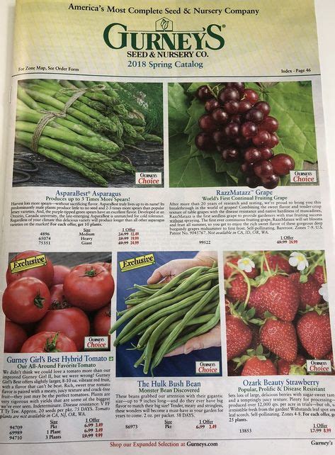 Burpee Seed Catalog