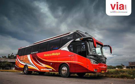 Bus Malam