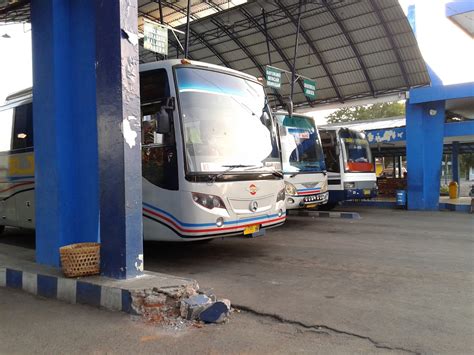 Bus antarkota Situbondo ke Bali