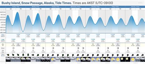 Bushy Park Tide Chart