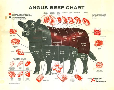 Butchers Beef Cut Chart