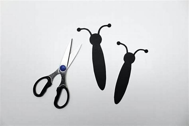 Butterfly Body Pattern