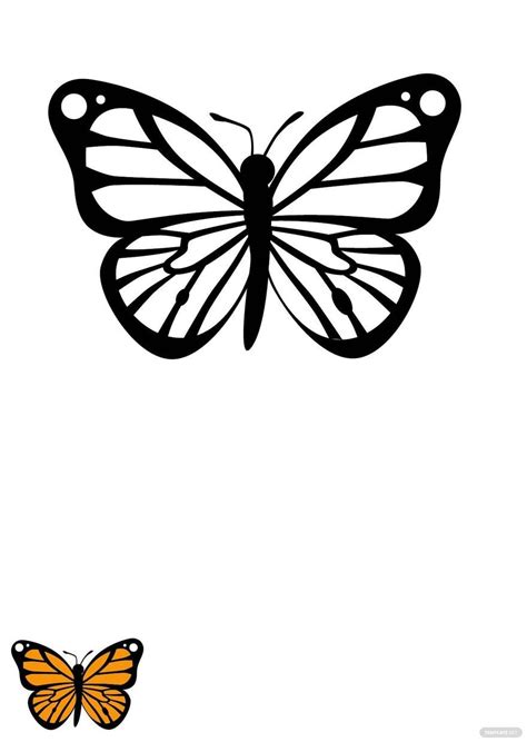 Butterfly Color Template