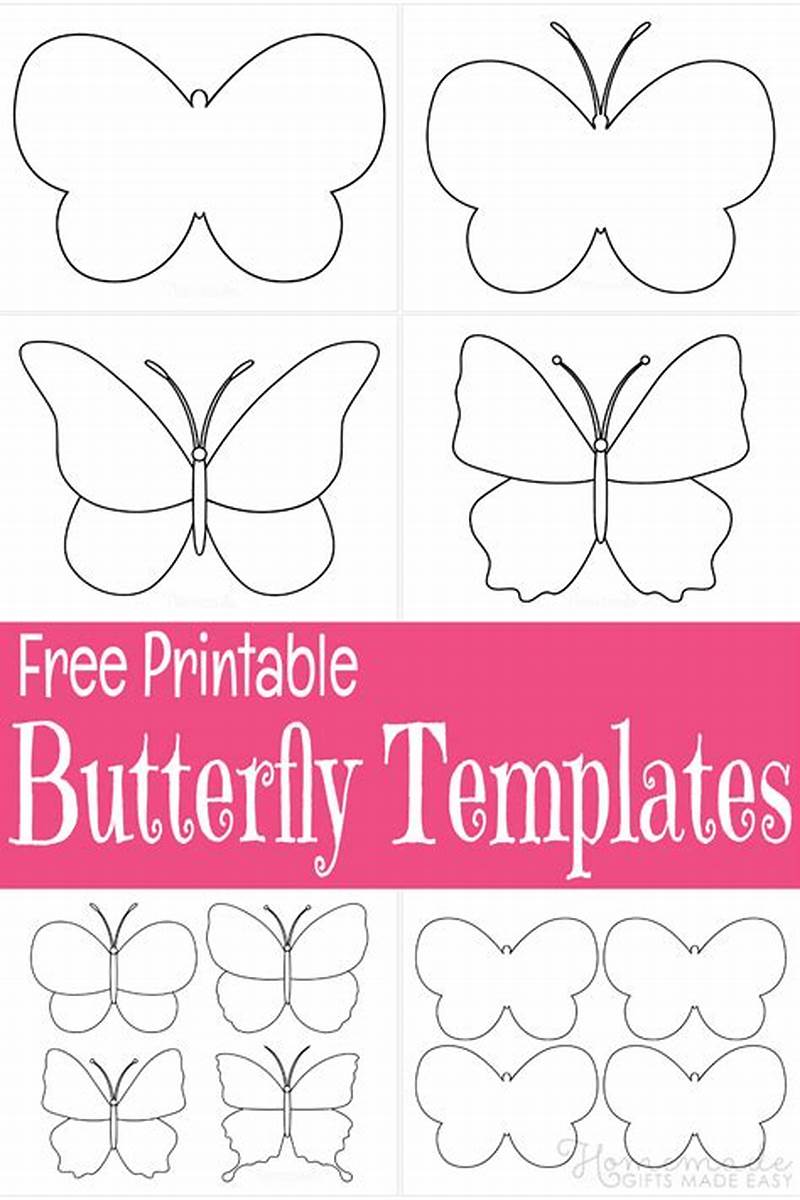 Butterfly Craft Pattern