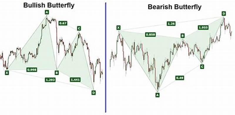 Butterfly Pattern Trading