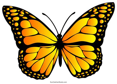 Butterfly Printable Images