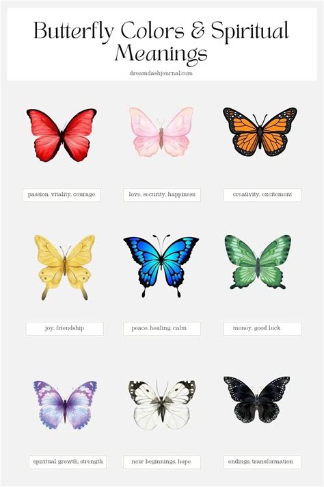 Butterfly Symbolism