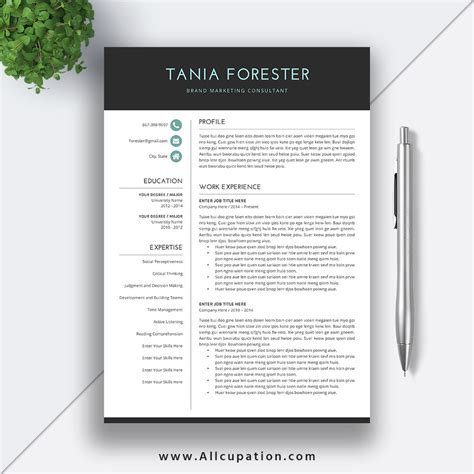 Buy Resume Template