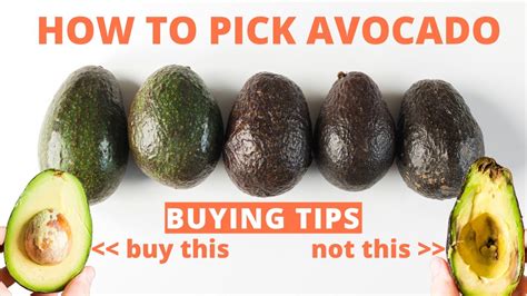 Buy a Good Avocado