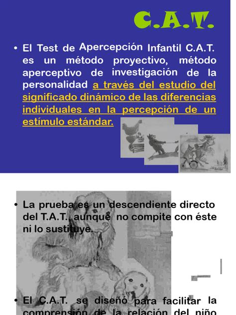 Computer Assisted Test illustration