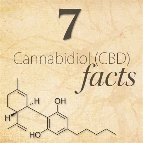 Fakta Menarik Tentang CBD