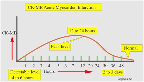 CK-MB test tube