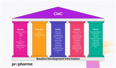 CMC safety