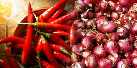 Bahan Alami Pengusir Tikus