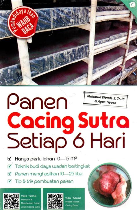 Cacing Sutra Besar in Indonesia