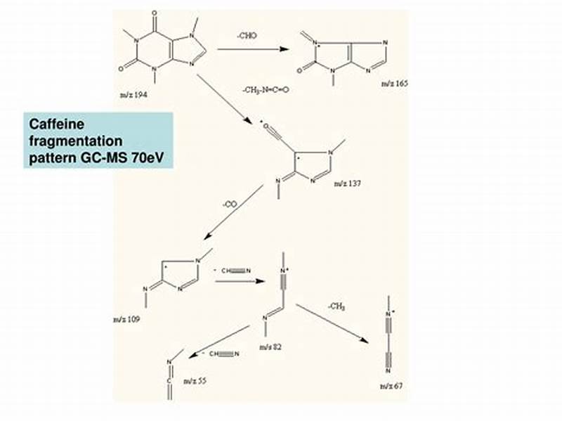 Caffeine Fragmentation Pattern