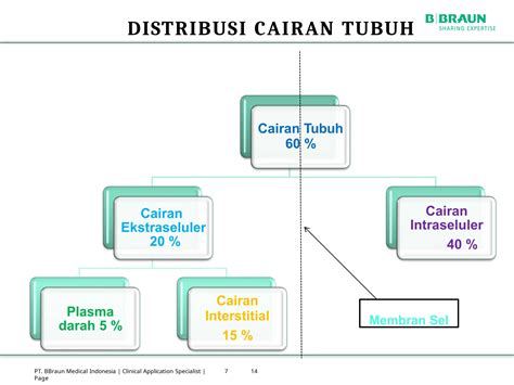 Cairan