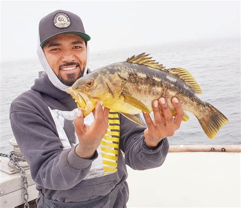 Calico Bass in the Channel Islands