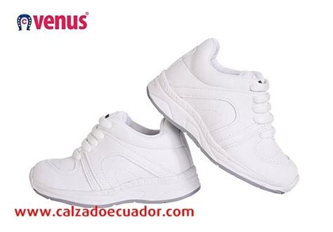 Calzado Venus Catalogo