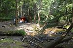 Camping in Allegheny National Forest PA