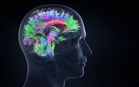 Can brain activity be restored