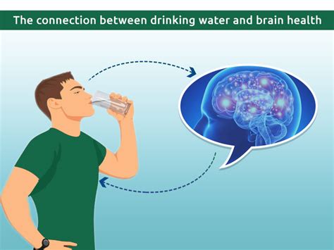 Can dehydration affect brain function