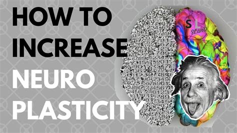 Can neuroplasticity help tinnitus