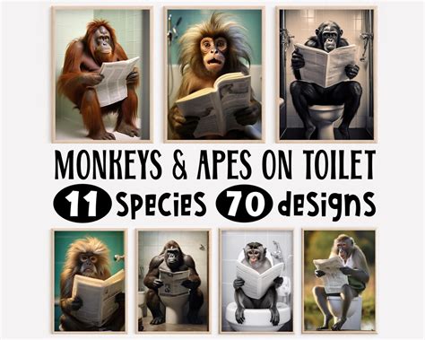 Can you teach a monkey to use the toilet