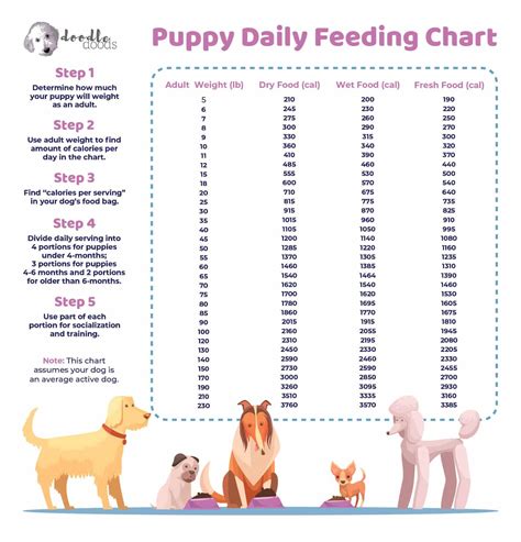 Canine Feeding Chart