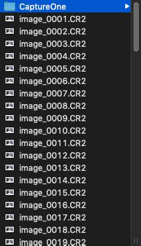 Captureone How To Convert Catalog Photos To Session