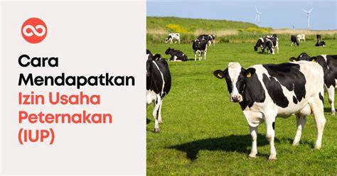 Cara Mendapatkan Izin Camat