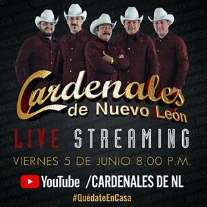 Cardenales De Nuevo Leon