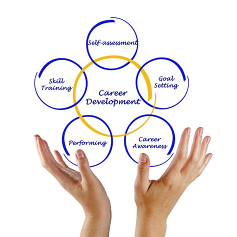 Career And Development