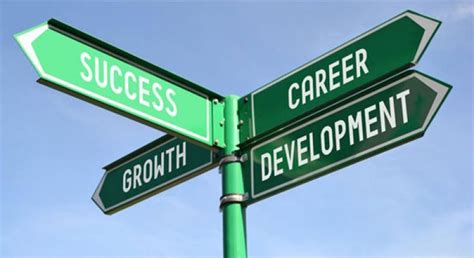 Career Growth Opportunities
