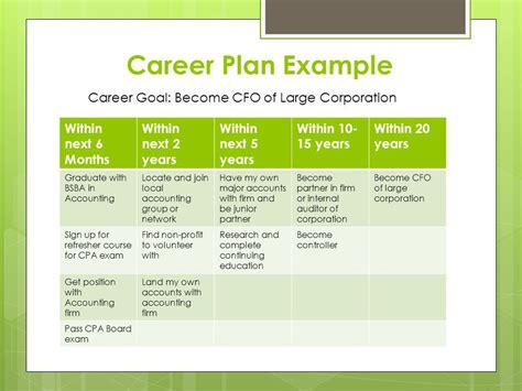 Career Plan Example
