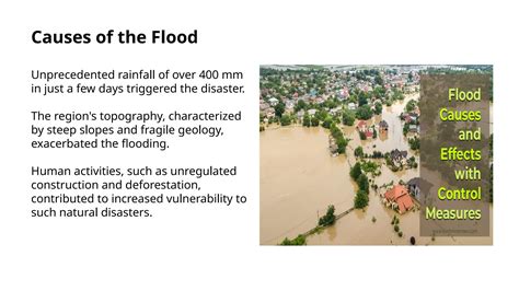 Case Study: Excavators in Flood Recovery