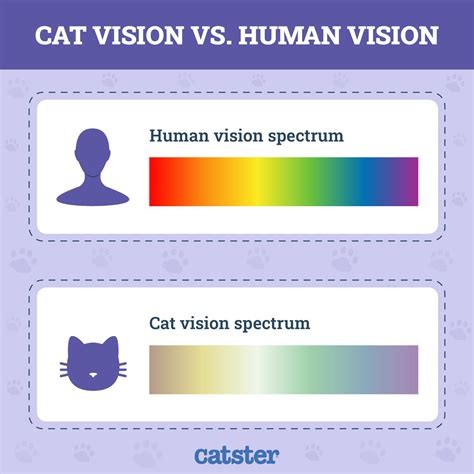 Cat Color Vision Chart