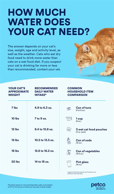 Cat Dehydration Chart