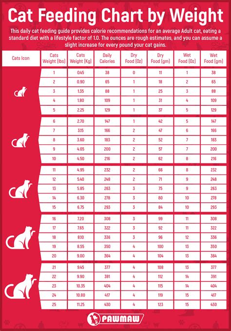 Cat Feeding Chart By Age