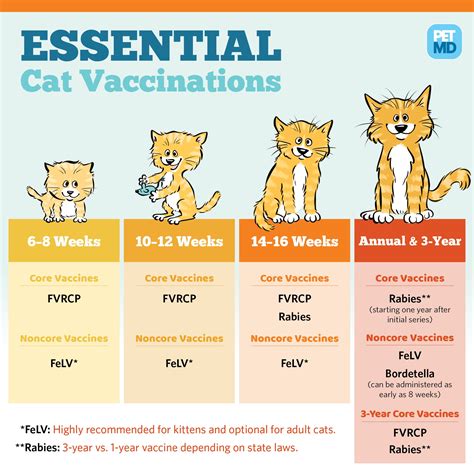 Cat Vaccine Schedule Chart