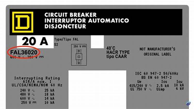 Catalog Number Example