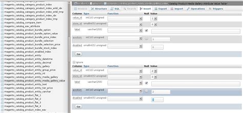 Catalog_product_entity_media_gallery_value