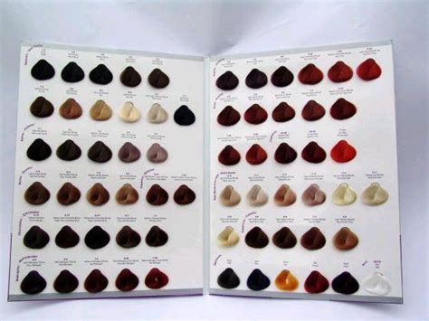 Catalogue Hair Color
