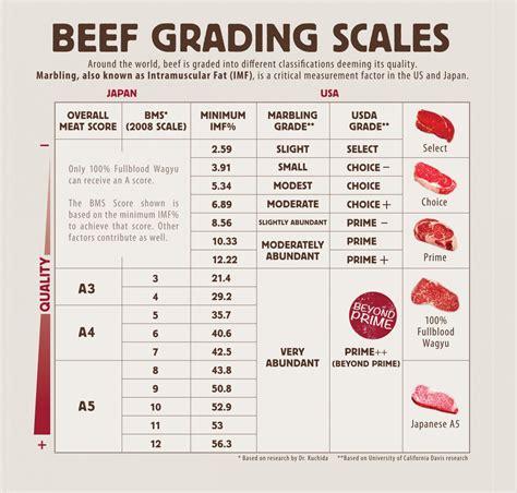 Cattle Grading Chart