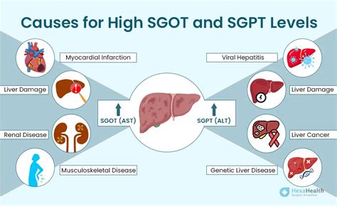 Causes of High SGPT