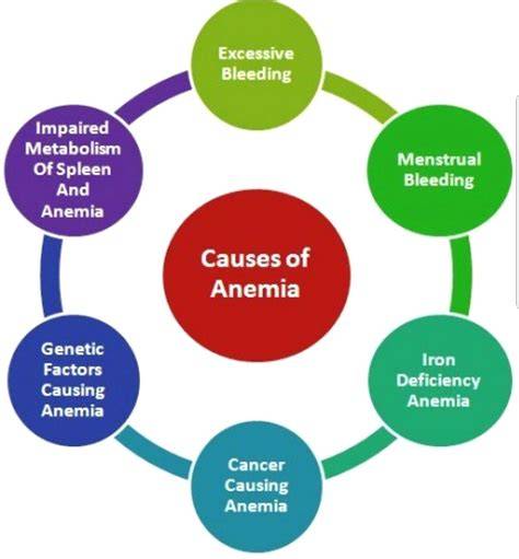 Causes of anemia