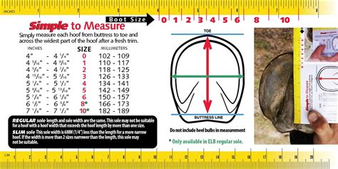 Cavallo Boots Size Chart