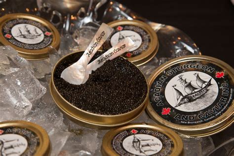 Caviar Sustainability