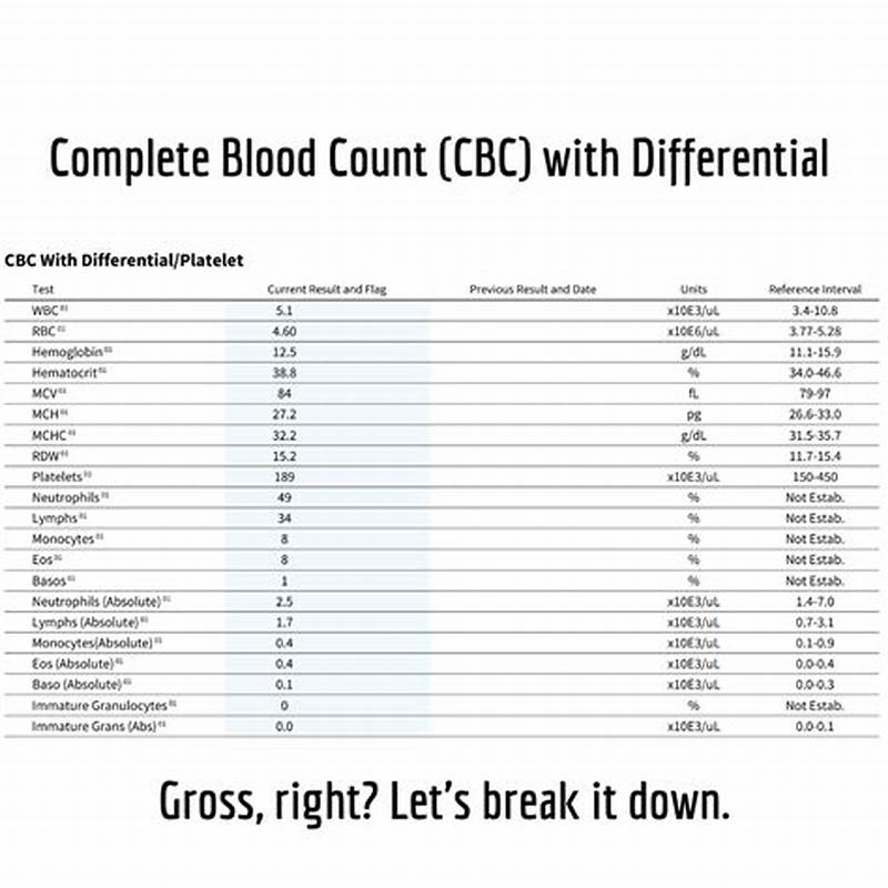 Cbc With Differential Normal Values Chart